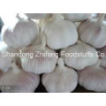 2015 New Season Fresh Vegetabls White Garlic